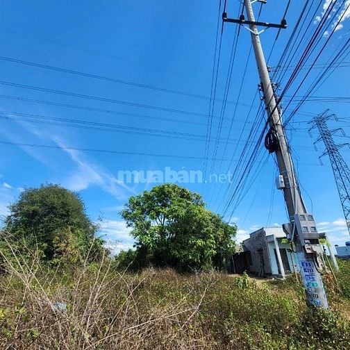 Công ty Đấu giá hợp danh Lam Sơn Sài Gòn THÔNG BÁO ĐẤU GIÁ TÀI SẢN