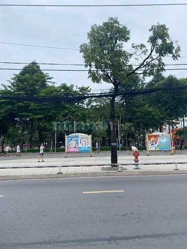 🔥Ngay Công viên Làng Hoa! Bán nhà 4 tầng Lê Văn Thọ, P11. Quang Trung