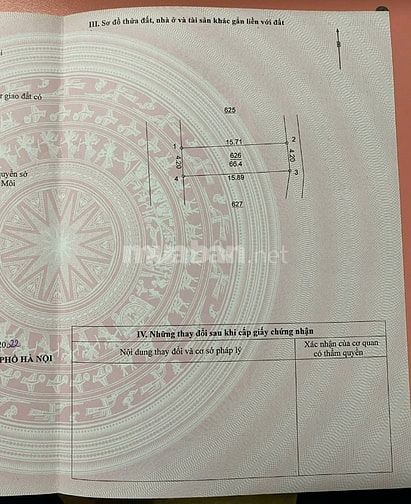 Giá rẻ giật mình cho nhà đầu tư
