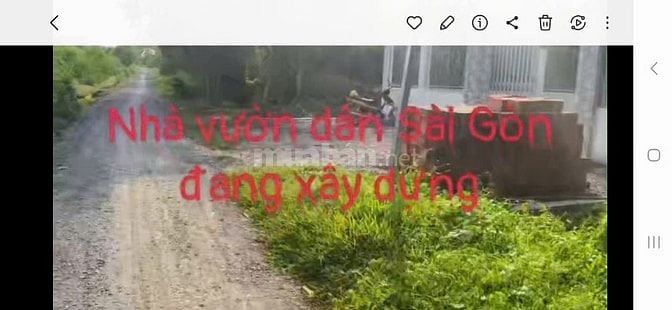 Cần Bán gấp Đất vườn, ấp 5, xã Thạnh Lợi, Bến Lức, Long An