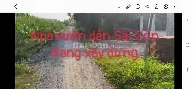 Cần Bán gấp Đất vườn, ấp 5, xã Thạnh Lợi, Bến Lức, Long An