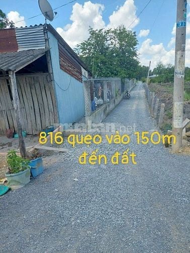 Cần bán gấp đất vườn ở ấp 1, xã Thạnh Hòa, Bến Lức, Long An.