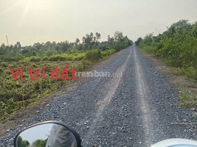 Bán gấp 2 lô Đất vườn MT kênh Rạch Chiếc, Thạnh Lợi, Bến Lức Long An