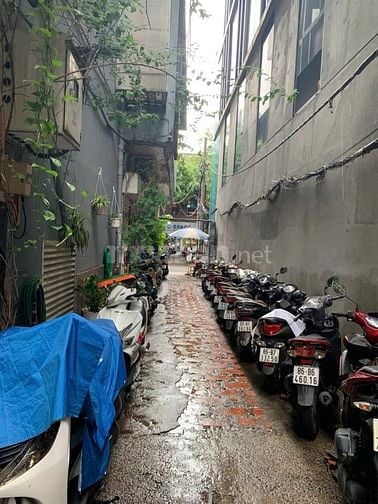 BÁN BIỆT THỰ MINI PHỐ – HẺM SANG 91 VÕ VĂN TẦN, QUẬN 3