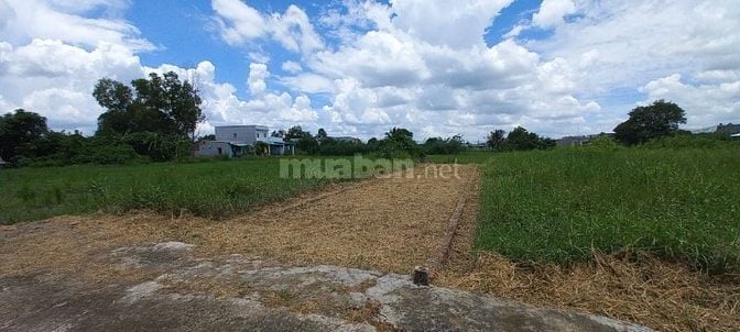 Cần bán đất chính chủ, sổ hồng công chứng tròn ngày