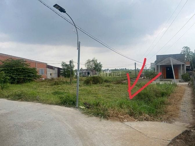 Bán đất chính chủ tại Tân Phú Đông Tiền Giang 