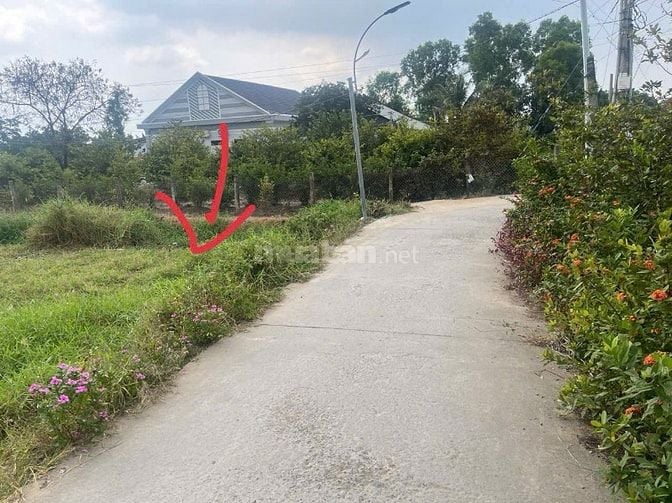 Bán đất chính chủ tại Tân Phú Đông Tiền Giang 