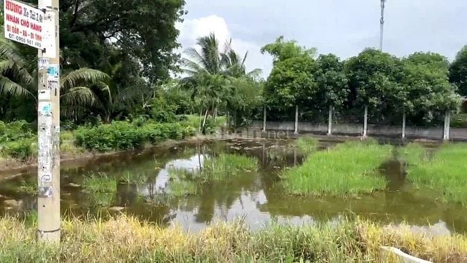 🔥💧đất mặt tiền T12 , Tân Quý Tây, Bình Chánh 