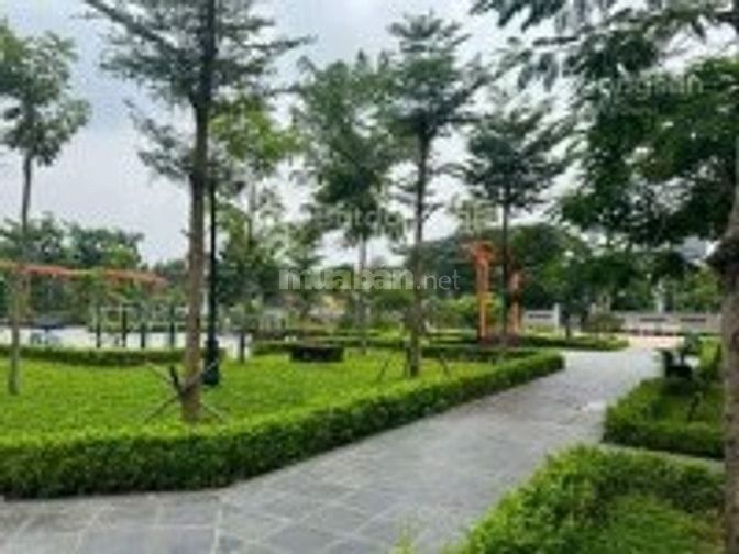 Nhà mặt phố, kinh doanh, văn phòng