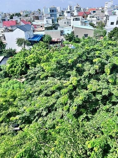 Bán Cả Dự An Mới Ra Sổ Thới An 16.   Đg LÊ THỊ RIÊNG. Q.12