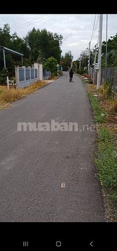 Nhà riêng 260m2, 2 căn nhà trên đất