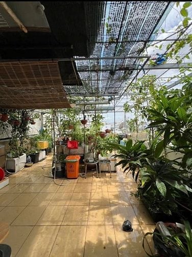 4TỶ880 CHỦ BÁN GẤP NHÀ MẶT TIỀN NGUYỄN PHÚC CHU, TÂN BÌNH - TẶNG NT