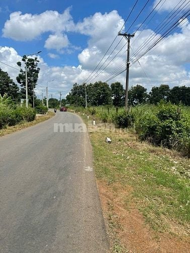 Bán đất thổ cư xã Phú Hoà, Định Quán, Đồng Nai: 122 x 192, giá 62 tỷ