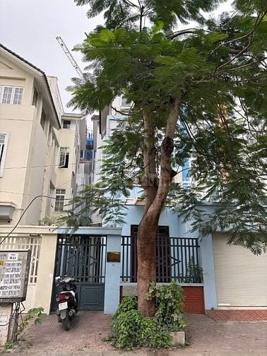 Biệt Thự LK Cao Cấp PG An Đồng, An Dương, Hải Phòng - Giá Chỉ 10 Tỷ