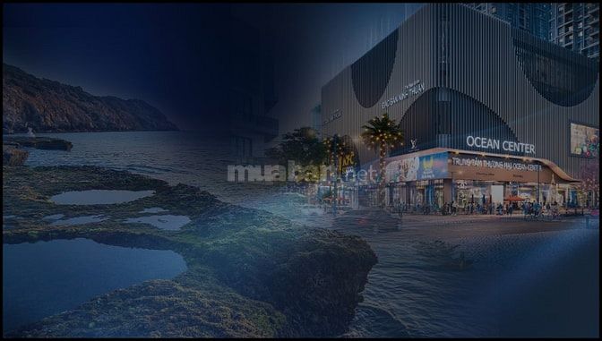 DỰ ÁN ĐÁNG ĐẦU TƯ VÀ TIỀM NĂNG PHÁT TRIỂN ( BÌNH SƠN OCEAN PARK )