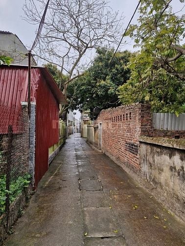 bán đấu giá thửa đất tại:Lạc Nhuế, Thụy Hòa, Yên Phong, Bắc Ninh