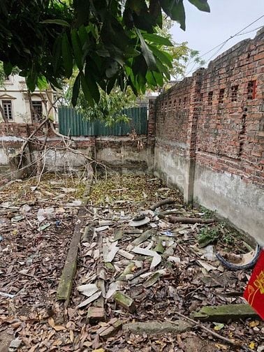 bán đấu giá thửa đất tại:Lạc Nhuế, Thụy Hòa, Yên Phong, Bắc Ninh