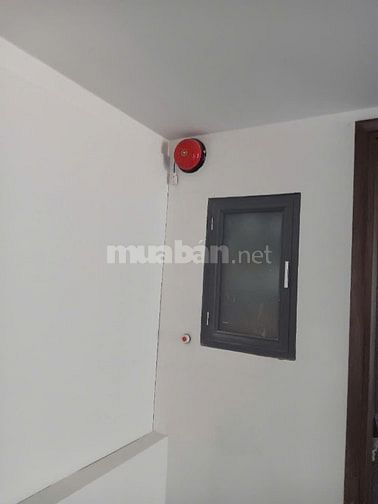 Cho thuê toà nhà CHDV Dương quảng hàm, Gò Vấp. Dtkv 200m2 Hầm 3 lầu TM
