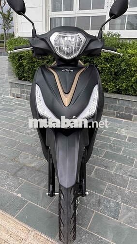 Bán kimcoCandy hermosa 50cc 2024 học sinh