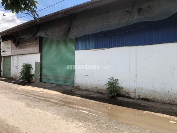 Cho thuê kho xưởng An Phú Đông, TL, TX, Thới An Quận 12