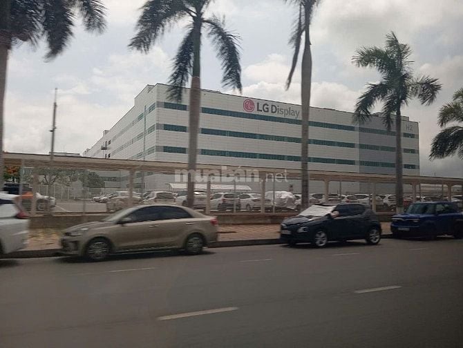 [Nghiêm túc] Cổng Kcn Hải Phòng, 790tr/ô 62m2, mt 5m, ô tô đỗ cửa.