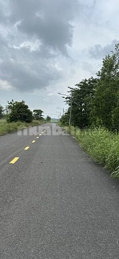 Cần bán đất cho nhà đầu tư ! Ngân hàng hỗ trợ 100%