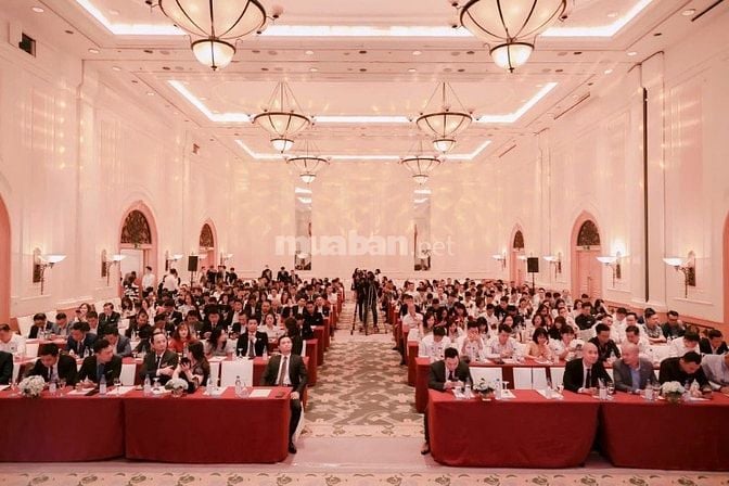 Công ty BĐS Tuyển 30 NVKD - Không Cần Kinh Nghiệm, Tự Do Thời Gian