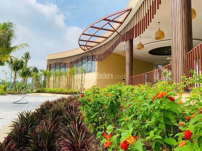 Agora City – Vị trí vàng, sinh thái xanh, tiện ích đa tầng, sinh lời b