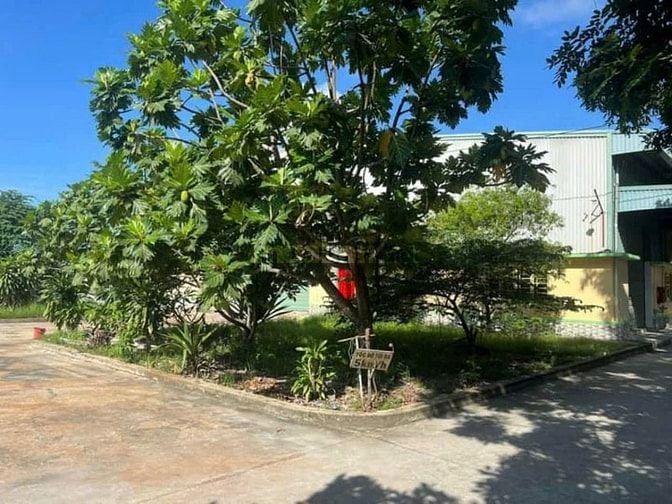  Bán nhà xưởng chuẩn KCN Thái Hòa Đức Hòa 3 ,Long An , giá tốt : 28 tỷ