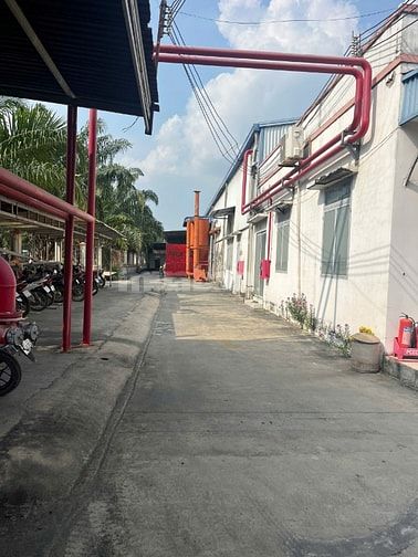  Bán nhà xưởng chuẩn KCN Thái Hòa Đức Hòa 3 ,Long An , giá tốt : 28 tỷ