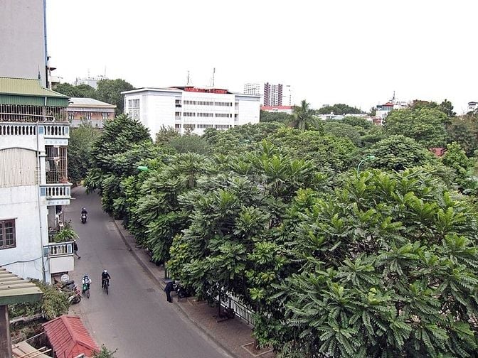 Homestay ở ghép nữ gần Học viện Ngân hàng, ĐH Y, Công đoàn, Thủy lợi