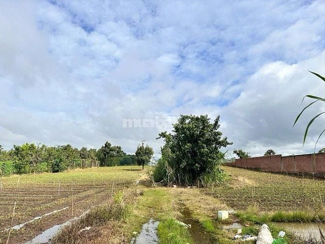 (Phát Mại) đất rẽ Phan Chu Trinh (25x65) cách sb Liên Khương 2km