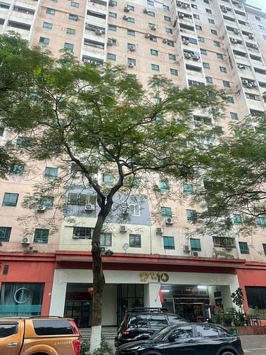 Cho thuê nhà chung cư chính chủ