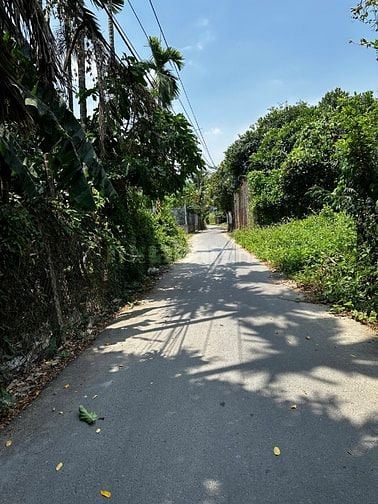 (Phát Mại) 2 căn liền kề 20 x 28.3 (578m2) Giá tốt Nha Trang