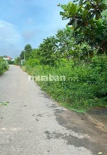Chính chủ cần bán lô đất SHR Tỉnh Lộ 7 xã Thái Mỹ, Củ Chi