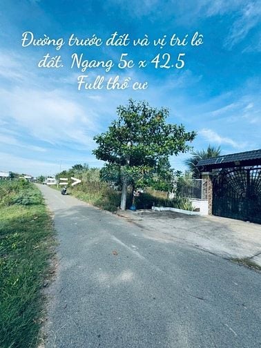Chính chủ cần bán lô đất SHR Tỉnh Lộ 7 xã Thái Mỹ, Củ Chi