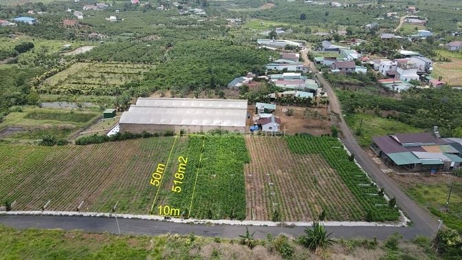 🌿 BÁN ĐẤT BẢO LỘC – CÁCH TRUNG TÂM 10 PHÚT – ĐƯỜNG NHỰA 7M – SỔ HỒNG 