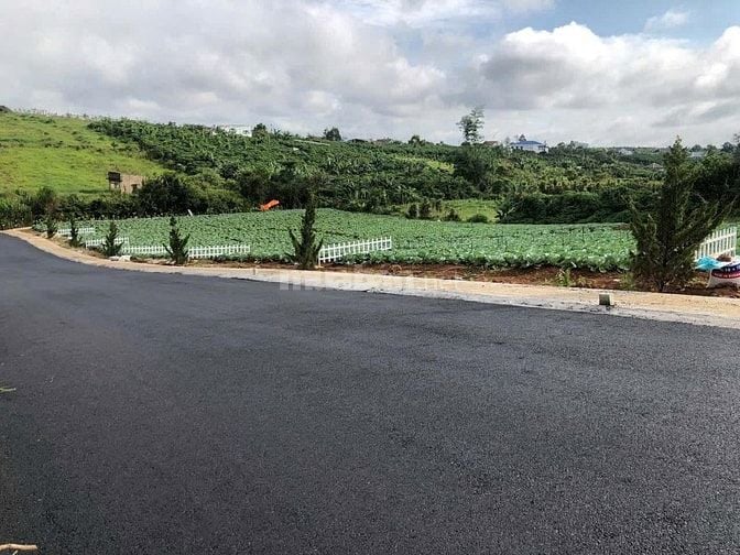 🌿 BÁN ĐẤT BẢO LỘC – CÁCH TRUNG TÂM 10 PHÚT – ĐƯỜNG NHỰA 7M – SỔ HỒNG 