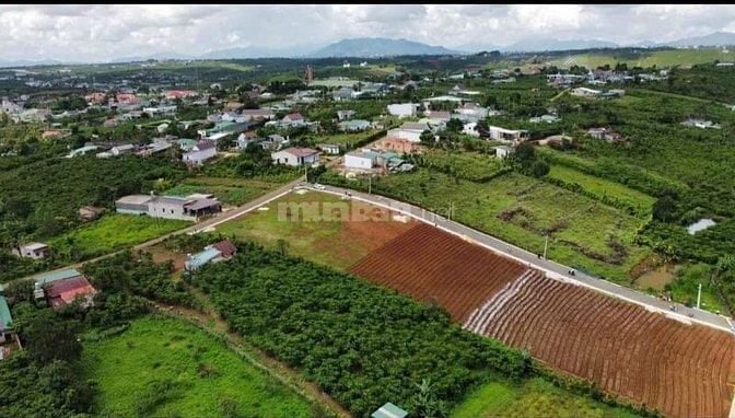 🌿 BÁN ĐẤT BẢO LỘC – CÁCH TRUNG TÂM 10 PHÚT – ĐƯỜNG NHỰA 7M – SỔ HỒNG 
