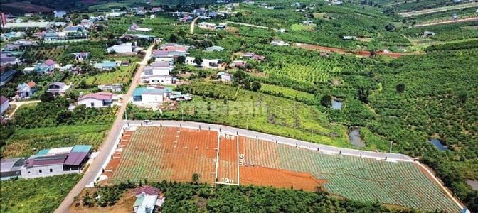 🌿 BÁN ĐẤT BẢO LỘC – CÁCH TRUNG TÂM 10 PHÚT – ĐƯỜNG NHỰA 7M – SỔ HỒNG 