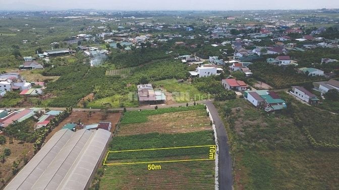 🌿 BÁN ĐẤT BẢO LỘC – CÁCH TRUNG TÂM 10 PHÚT – ĐƯỜNG NHỰA 7M – SỔ HỒNG 