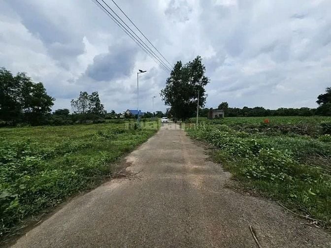 Công ty Đấu giá hợp danh Lam Sơn Sài Gòn THÔNG BÁO ĐẤU GIÁ TÀI SẢN