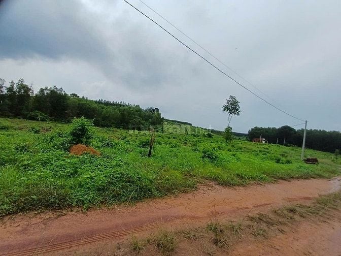 Đất làm khu công nghiệp, dân cư, đầu tư kinh doanh,xây biệt thự cao ốc