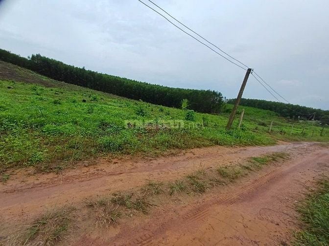 Đất làm khu công nghiệp, dân cư, đầu tư kinh doanh,xây biệt thự cao ốc