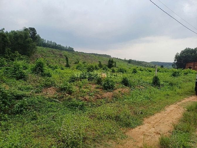 Đất làm khu công nghiệp, dân cư, đầu tư kinh doanh,xây biệt thự cao ốc