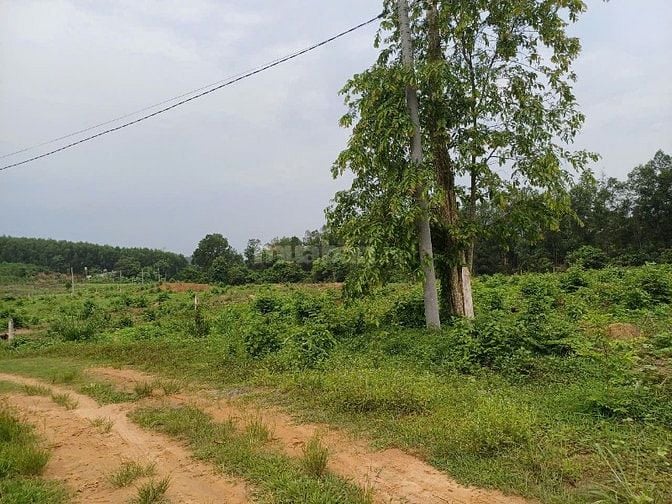 Đất làm khu công nghiệp, dân cư, đầu tư kinh doanh,xây biệt thự cao ốc
