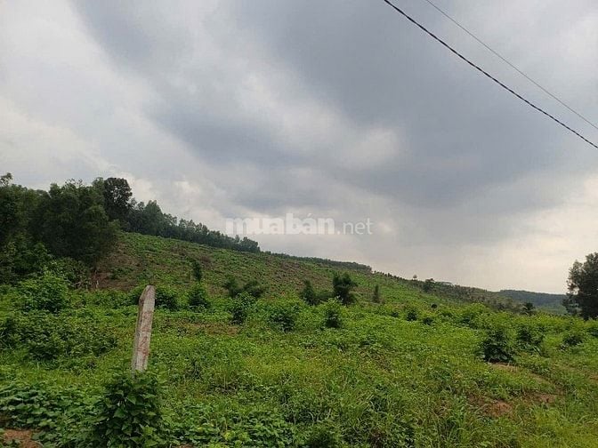 Đất làm khu công nghiệp, dân cư, đầu tư kinh doanh,xây biệt thự cao ốc