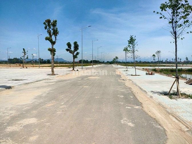 Chính chủ, bán đất mặt bằng Mb650 Thanh Hóa, 180m, sổ đỏ, giá 2,5 tỷ
