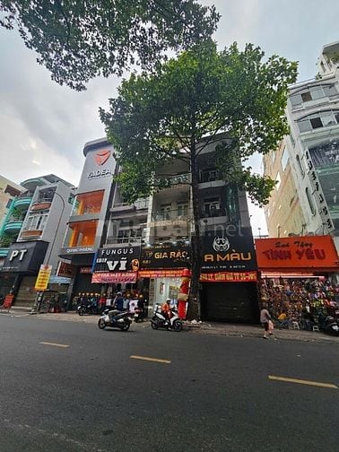 Cho Thuê 384 Nguyên Trãi, Phường 7, Quận 5