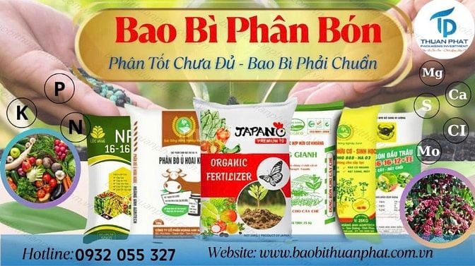 CHUYÊN CUNG CẤP CÁC LOẠI BAO BÌ 
